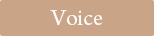 voice